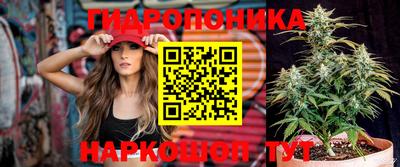 молекула духа Пушкино