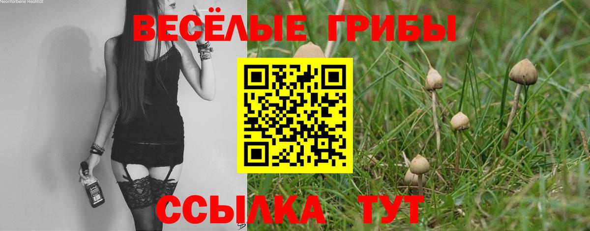 Галлюциногенные грибы прущие грибы Ржев